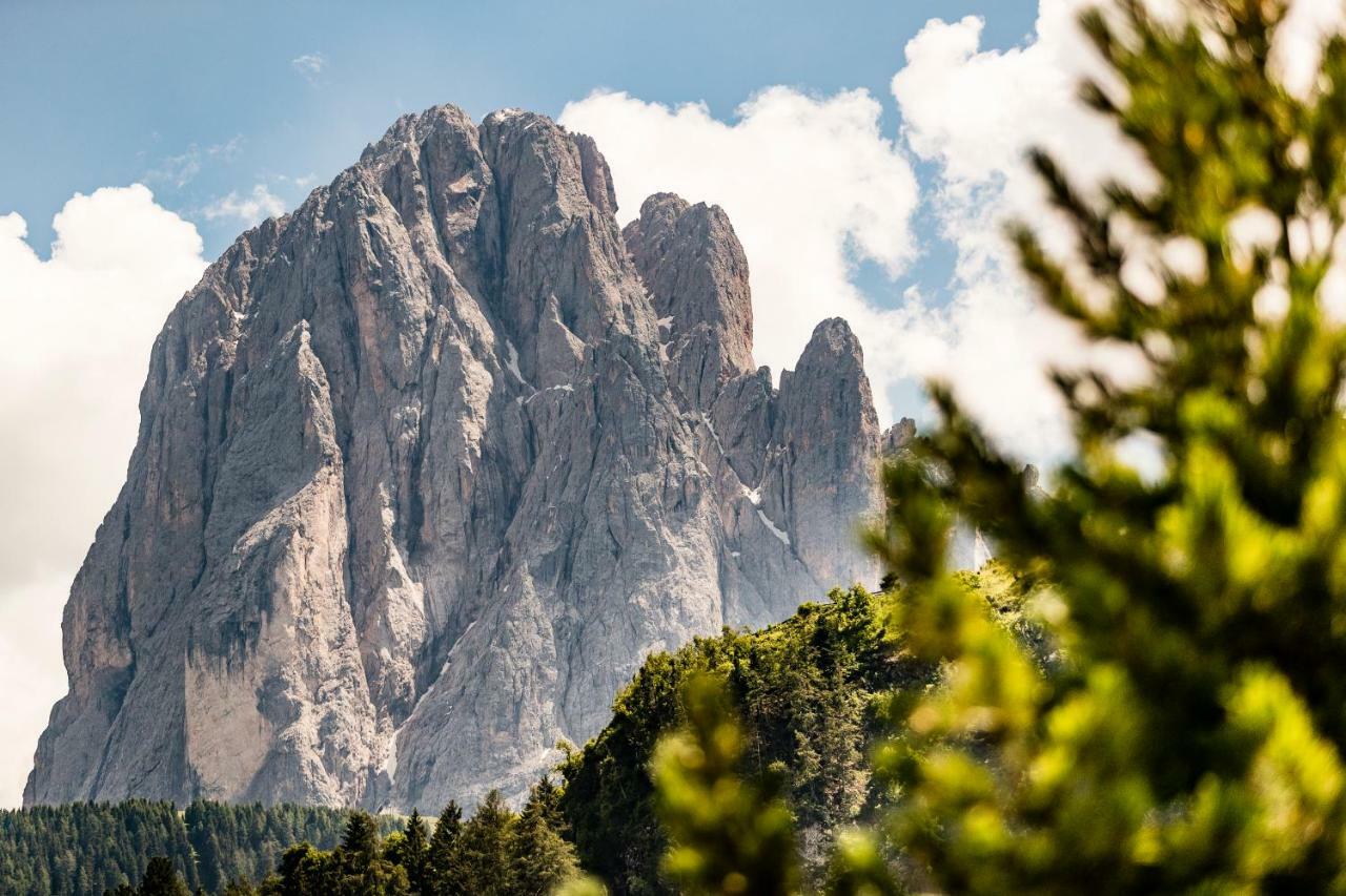 Appartamenti Hetty Santa Cristina Val Gardena Exteriér fotografie